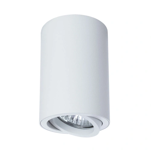 Точечный накладной светильник Arte Lamp SENTRY A1560PL-1WH фото 3