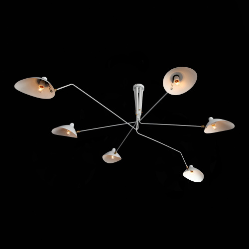 SL305.502.06 Люстра потолочная ST-Luce Белый/Белый E27 6*60W SPRUZZO фото 11 SL305.502.06 Люстра потолочная ST-Luce Белый/Белый E27 6*60W SPRUZZO фото 11