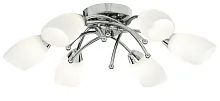 Потолочная люстра Arte Lamp OPAL A8186PL-6CC