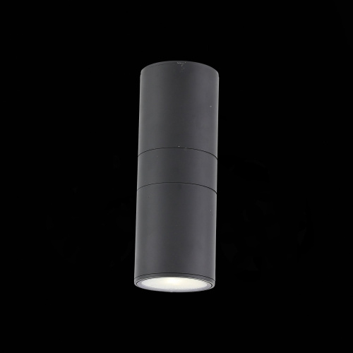 SL074.411.02 Светильник уличный настенный ST-Luce Черный/Черный LED 2*8W 4000K TUBO фото 5