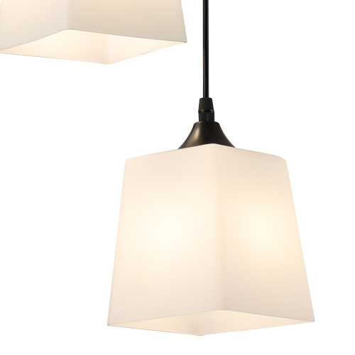 Подвесной светильник 160003/2P E27*60W Black фото 3 Подвесной светильник 160003/2P E27*60W Black фото 3