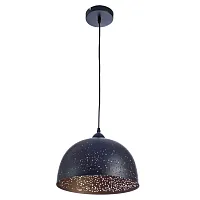 Подвесной светильник Arte Lamp BUCHINO A1630SP-1BK