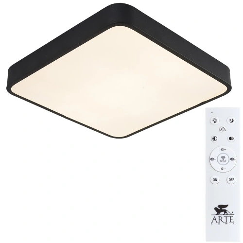 Потолочный светильник Arte Lamp SCENA A2663PL-1BK фото 2