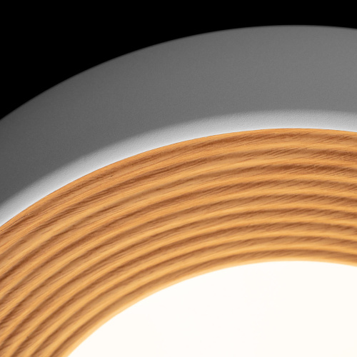 10255/350 White Потолочный светильник LOFT IT Folk фото 6 10255/350 White Потолочный светильник LOFT IT Folk фото 6