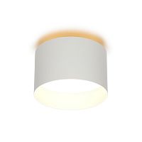 Светильник настенно-потолочный OML-100419-16