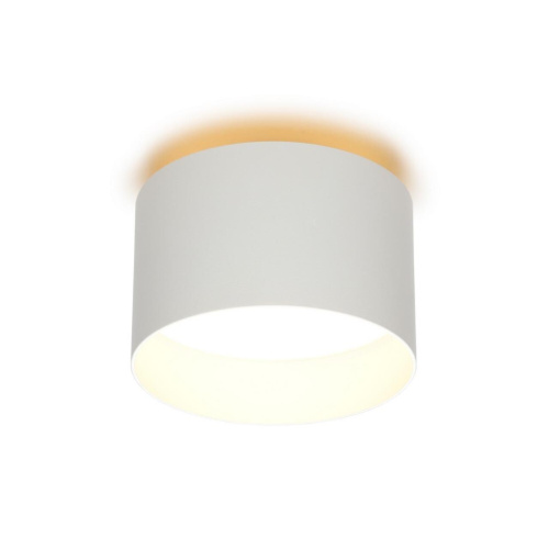 Светильник настенно-потолочный OML-100419-16