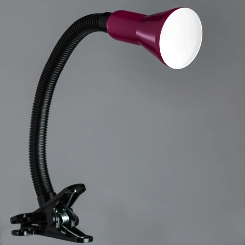 Офисная настольная лампа Arte Lamp CORD A1210LT-1MG фото 2