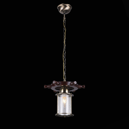 SL150.303.01 Светильник подвесной ST-Luce Бронза, Коричневый/Прозрачный с эфектом трещин E27 1*40W VOLANTINO фото 4