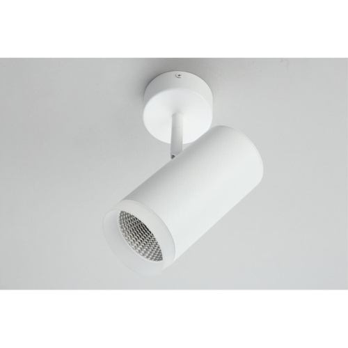 Светильник настенно-потолочный OML-102609-20 фото 4 Светильник настенно-потолочный OML-102609-20 фото 4