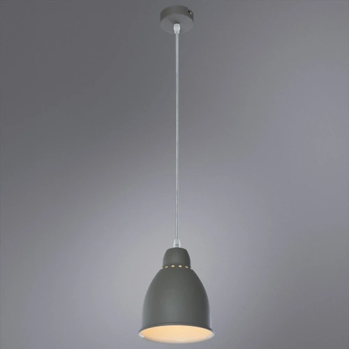 Подвесной светильник Arte Lamp BRACCIO A2054SP-1GY фото 2 Подвесной светильник Arte Lamp BRACCIO A2054SP-1GY фото 2