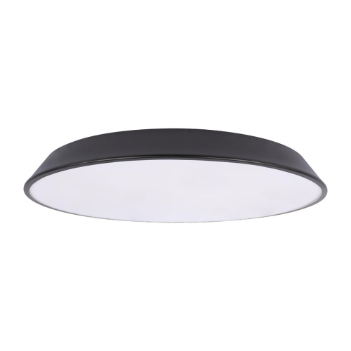 10226 Black Потолочный светильник LOFT IT Brim 10226 Black Потолочный светильник LOFT IT Brim