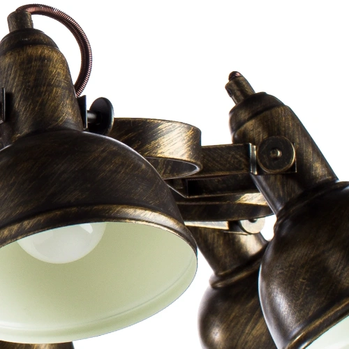 Потолочная люстра Arte Lamp MARTIN A5216PL-8BR фото 3