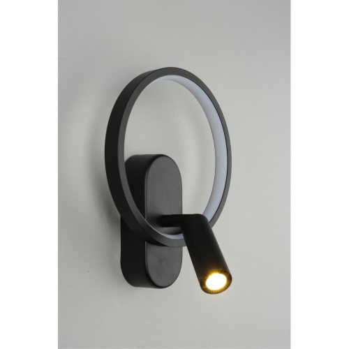 Светильник настенный (Бра) APL.346.01.02 фото 5