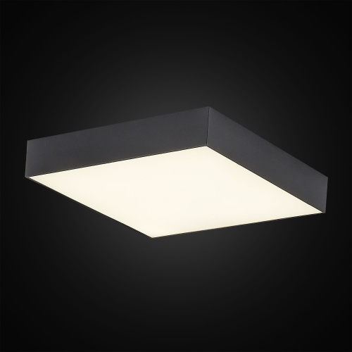 Citilux Тао CL712X242N LED Светильник потолочный с диммером Чёрный фото 2 Citilux Тао CL712X242N LED Светильник потолочный с диммером Чёрный фото 2