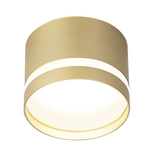 Citilux Hardy CL002C12 Светильник накладной Золото фото 2 Citilux Hardy CL002C12 Светильник накладной Золото фото 2