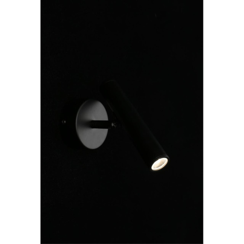 Светильник настенный (Бра) APL.067.01.03 фото 12