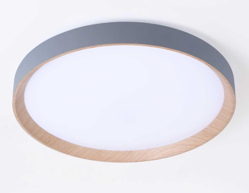 Потолочный светодиодный светильник Ambrella light Orbital Design FZ1322 фото 6
