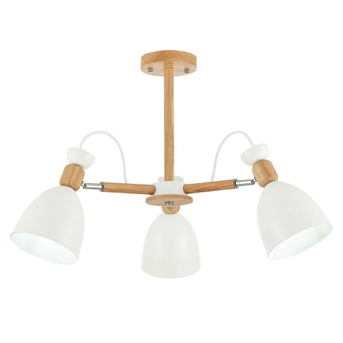 Потолочная люстра Evoluce Balcamo SLE103802-03 Потолочная люстра Evoluce Balcamo SLE103802-03