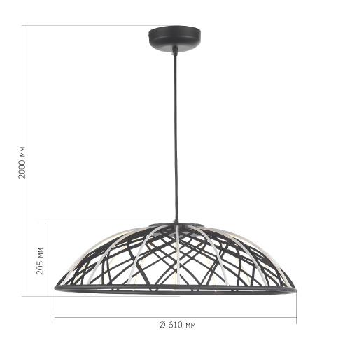 SL6016.403.01 Светильник подвесной ST-Luce Черный/Черный LED 1*20W 3000K BOUND фото 2