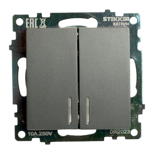 Выключатель 2-клавишный c индикатором (механизм) 250В, 10А, серия Катрин, графит, GLS10-7102-06