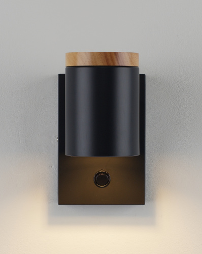 Светильник настенный Moderli V11291-1W Asheswood фото 4