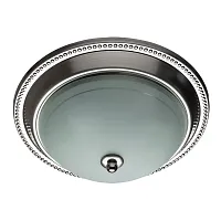 Потолочный светильник Arte Lamp ALTA A3011PL-2SS