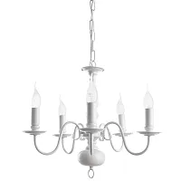 Подвесная люстра Arte Lamp ANTWERPEN A1029LM-5WC