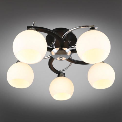 Люстра потолочная OML-25407-05 фото 3