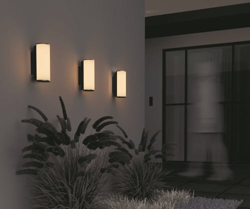 Уличный настенный светильник Outdoor O434WL-L12GF3K фото 2