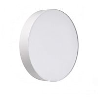 Настенно-потолочный светильник Sonex BASICA 7779/DLN