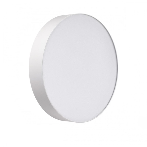 Настенно-потолочный светильник Sonex BASICA 7779/DLN