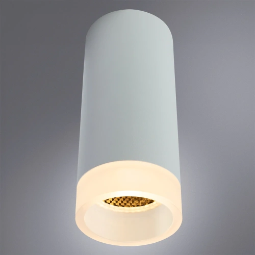 Точечный накладной светильник Arte Lamp OGMA A5556PL-1WH фото 2
