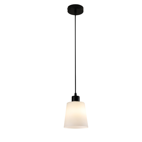 Подвесной светильник 120004/1P E27*60W Black