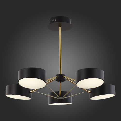 SLE6005-402-05 Светильник потолочный Черный, Золотистый/Черный LED 5*10W VALLE фото 3