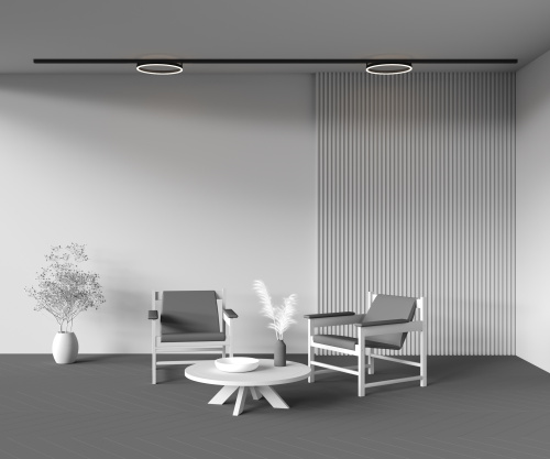 Трековый светильник Technical TR227-2-24W3K-B фото 5