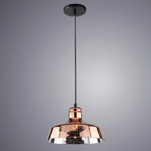 Подвесной светильник Arte Lamp RIFLESSO A4297SP-1AC фото 2
