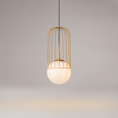 Подвесной светильник Maytoni P363PL-01G фото 8