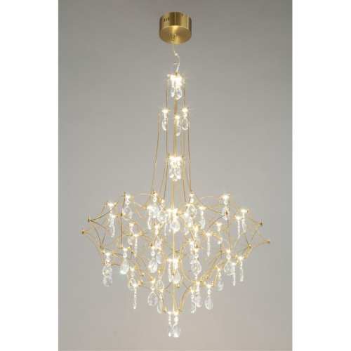 Люстра подвесная OML-95713-60 фото 4