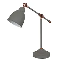 Декоративная настольная лампа Arte Lamp BRACCIO A2054LT-1GY