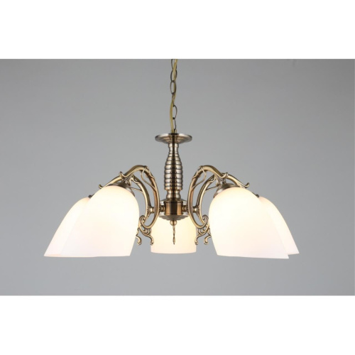 Люстра подвесная OML-56407-05 фото 5