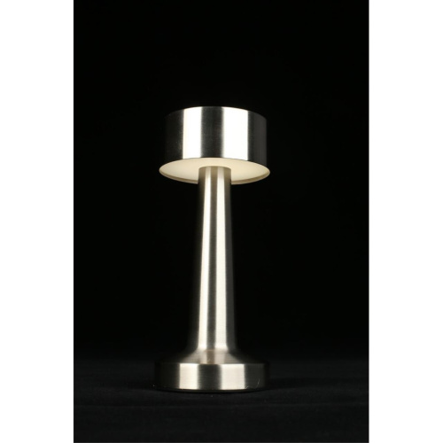 Настольная лампа APL.671.14.01 фото 9