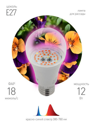 Лампа светодиодная для растений ЭРА E27 12W 1310K прозрачная Fito-12W-RB-E27 Б0050601 фото 4 Лампа светодиодная для растений ЭРА E27 12W 1310K прозрачная Fito-12W-RB-E27 Б0050601 фото 4