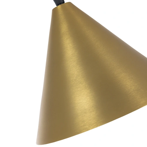 Подвесной светильник Arte Lamp DAVID A7033SP-1BK фото 3