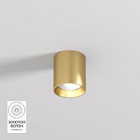 DK2610-SB Накладной светильник SHINE TUBE со светодиодом, D70*H80, IP20, 3000К, 10W, RA?90, сатинированная латунь, алюминий