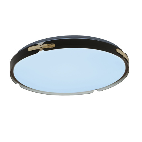 Потолочный светильник Lumina Deco Paneli LDC 8063-48W BK фото 6