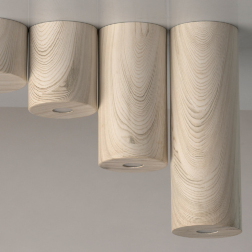 Потолочный светильник DeMarkt Иланг 712010901 фото 11