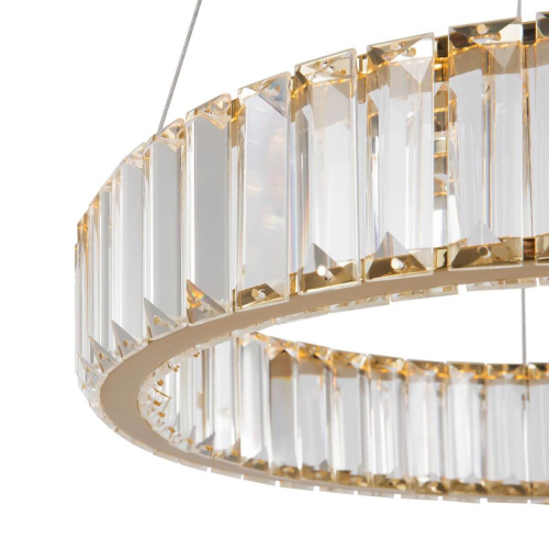 Подвесной светодиодный светильник Freya Tier FR5257PL-L17G фото 6