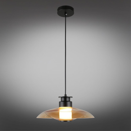 Светильник подвесной APL.648.16.10 фото 3