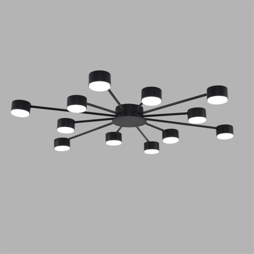 8344/12C COMFI LN26 251 черный, металл Люстра GX53 LED 12*7W 220V TORINA фото 4 8344/12C COMFI LN26 251 черный, металл Люстра GX53 LED 12*7W 220V TORINA фото 4