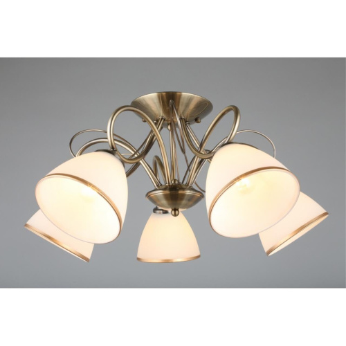 Люстра потолочная OML-25307-05 фото 4 Люстра потолочная OML-25307-05 фото 4